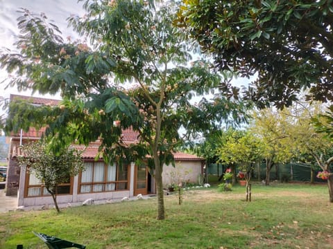 Natural landscape, Garden, Garden, Garden view