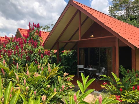 Patio, Garden