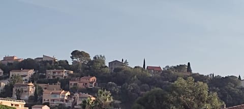 Natural landscape, City view