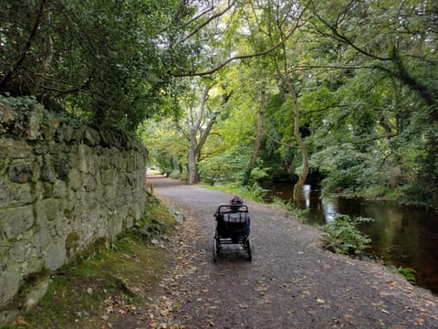 Ryan's Cottage House in Louth, Co. Louth, Ireland