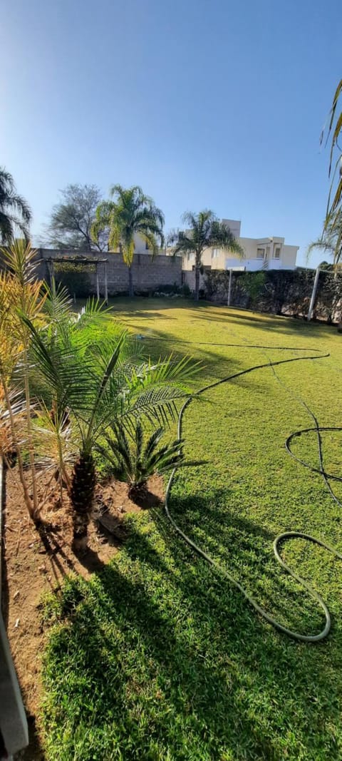 Garden view
