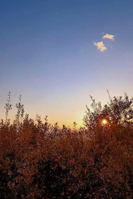 Μεζονέτα 5 υπνοδωμάτια, πλήρως εξοπλισμένη και με φορτιστή ηλεκτρικού αυτοκινήτου Villa in Messenia