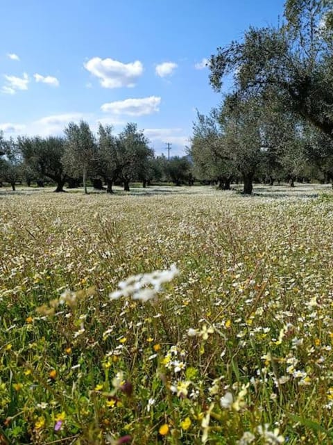 Μεζονέτα 5 υπνοδωμάτια, πλήρως εξοπλισμένη και με φορτιστή ηλεκτρικού αυτοκινήτου Villa in Messenia