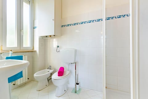 Shower, Toilet, Bathroom, bidet