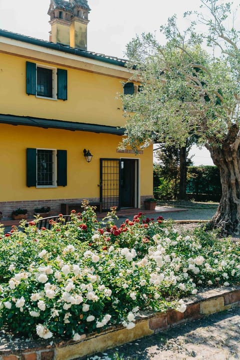 Property building, Spring, Day, Garden, Garden view