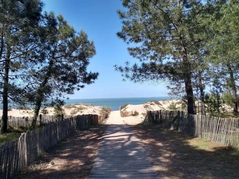 Natural landscape, Beach