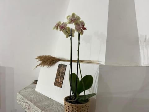 Il Granaio casa vacanze con terrazza panoramica House in Lazio