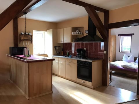 Kitchen or kitchenette, minibar, pet friendly, stove