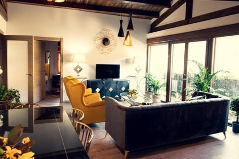 Shower, Toilet, TV and multimedia, View (from property/room), Balcony/Terrace, Balcony/Terrace, Kitchen or kitchenette, Living room, Decorative detail, Cycling, Mountain view, River view, Supermarket/grocery shop, Swimming pool, dishwasher, fireplace, furniture, internet, storage, stove, toaster, towels