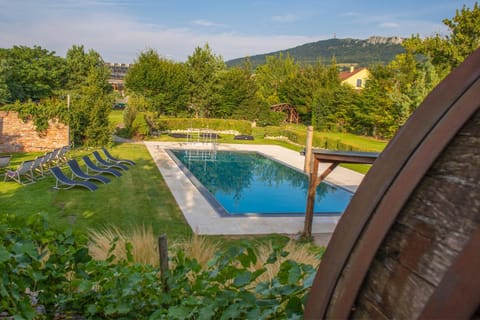 Garden, Swimming pool