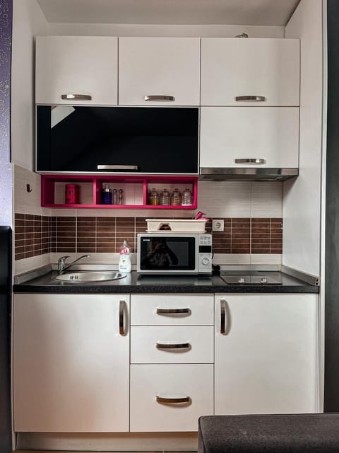 Kitchen or kitchenette, minibar, stove