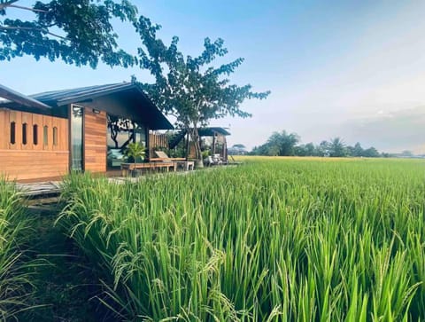 Property building, Day, Natural landscape, Garden, Garden view, Sunset