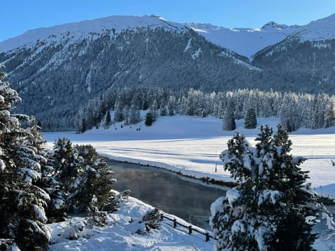 Chesa Pradash 5 - Celerina Apartment in Saint Moritz