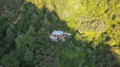 Garden view, Mountain view