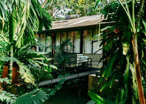 Patio, Garden