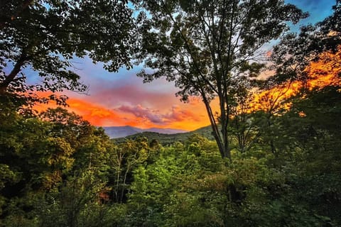Hi View House House in Black Mountain