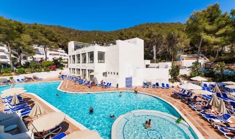 Garden, Swimming pool