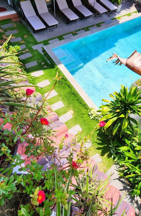 Pool view, Swimming pool