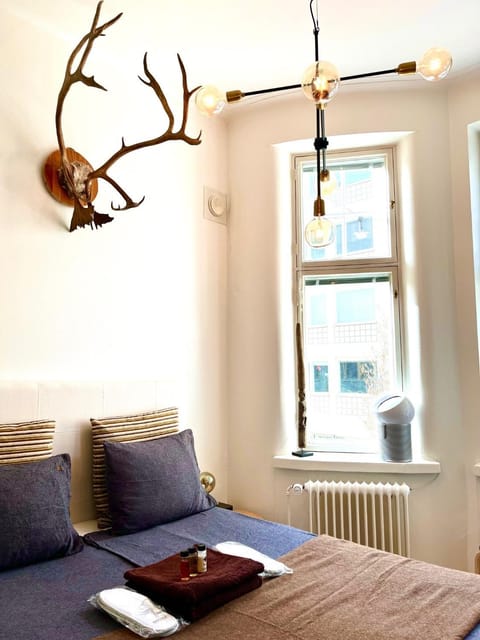 Iso Roobertinkatu - Picturesque Area in Helsinki Center Apartment Apartment in Helsinki