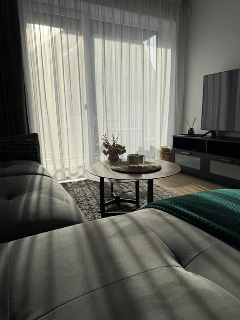 Cosy 1 bedroom apartment in the heart of old town with parking Apartment in Lithuania