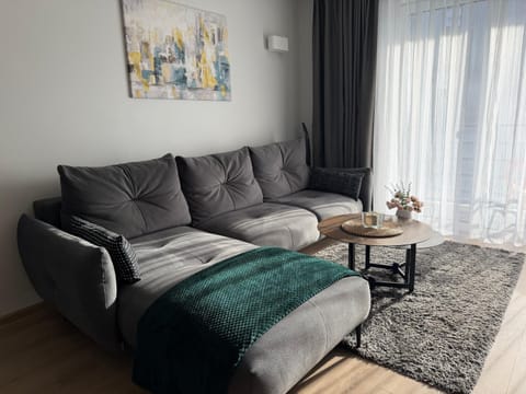 Cosy 1 bedroom apartment in the heart of old town with parking Apartment in Lithuania