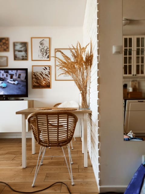 Boho apartament - studio Apartment in West Pomeranian Voivodeship, Poland