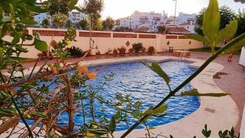 Pool view, Swimming pool