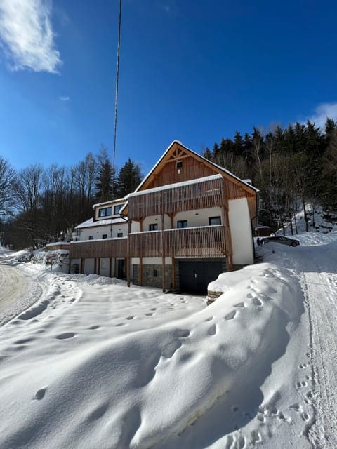 Property building, Winter, Skiing, Skiing