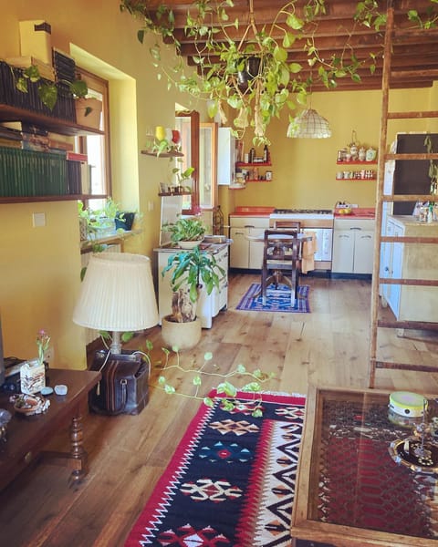 Kitchen or kitchenette, Living room, Seating area, Dining area