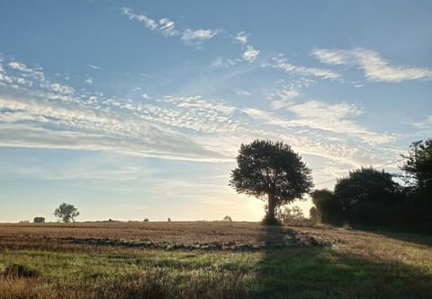 Day, Natural landscape, Other
