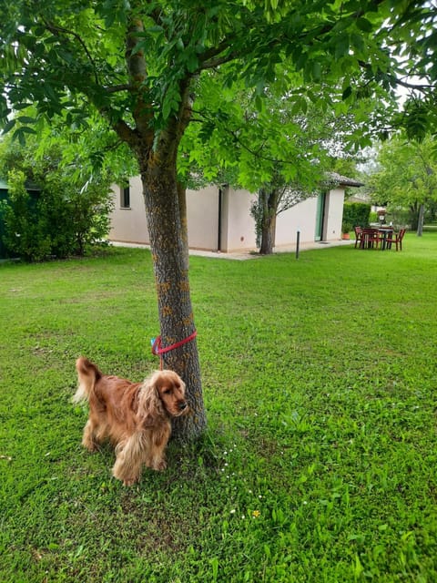Casa Dora House in Gubbio