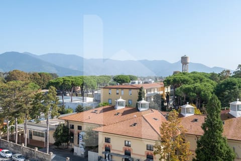 Neighbourhood, City view