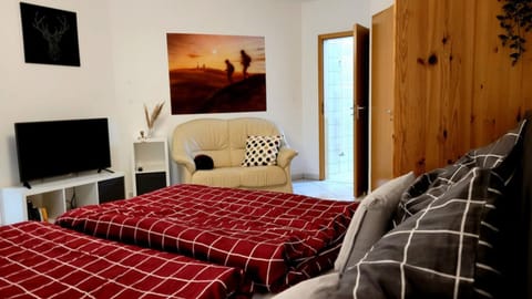 Bed, TV and multimedia, Photo of the whole room