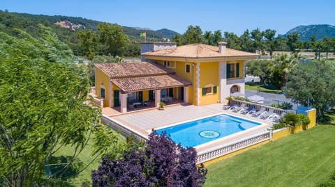 Bird's eye view, Garden, Swimming pool