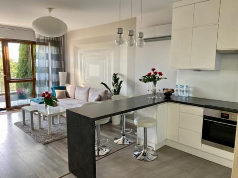 Kitchen or kitchenette, Living room, Seating area, Dining area, dishwasher, minibar, pet friendly, stove