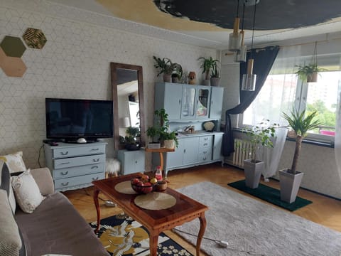 TV and multimedia, Seating area, Evening entertainment