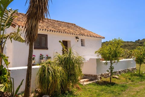 Property building, Garden, Garden view