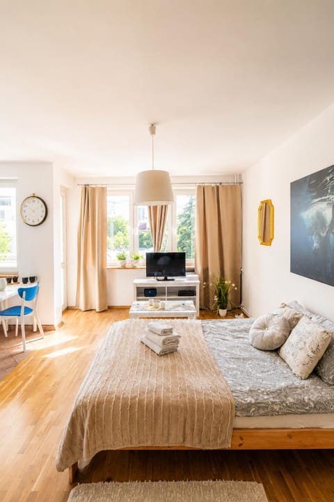 Bed, TV and multimedia, Living room, Photo of the whole room, Seating area, Bedroom