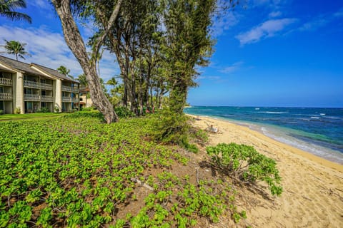 Islander on the Beach 333 Hotel in Waipouli Beach
