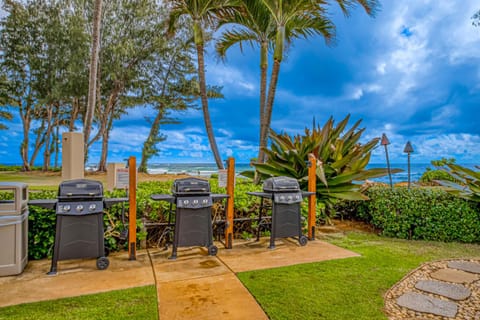 Islander on the Beach 142 Hotel in Waipouli Beach