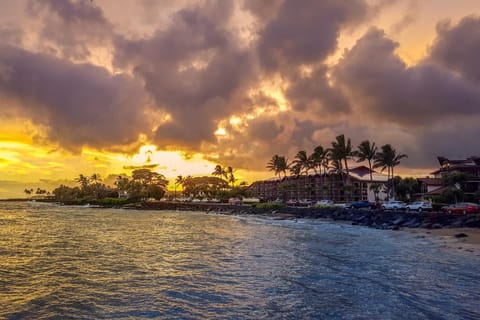 Islander on the Beach 354 Hotel in Waipouli Beach