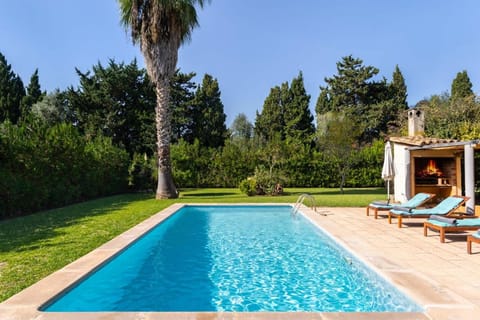 Spring, Day, Natural landscape, Garden, Garden view, Pool view, Swimming pool, sunbed