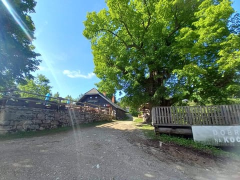 Property building, Day, Natural landscape