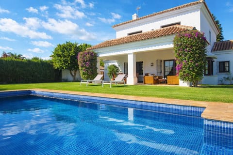 Garden, Swimming pool, sunbed