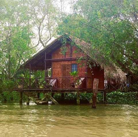 River view
