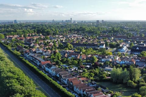 Bird's eye view, Street view