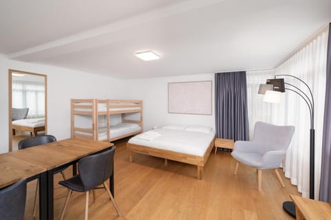 Studio ALBERT Interlaken Apartment in Interlaken