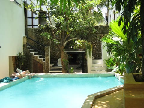 Garden, Swimming pool