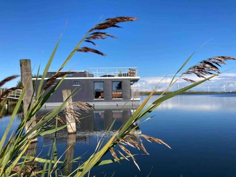Lake view