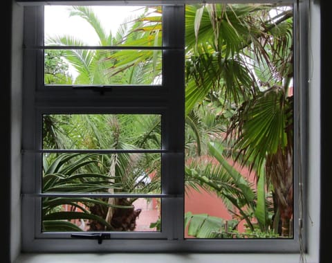 Natural landscape, Garden, Garden view